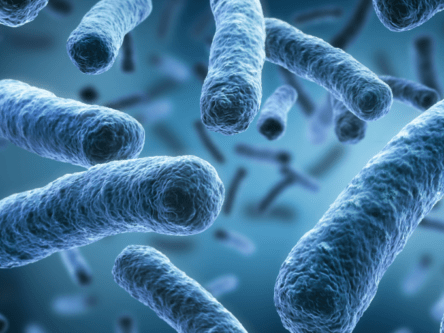 Legionella prevention: How to ensure the safety of your HVAC system