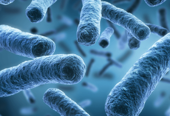 Close up of Legionella bacteria