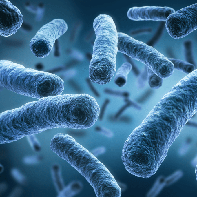 Legionella prevention: How to ensure the safety of your HVAC system