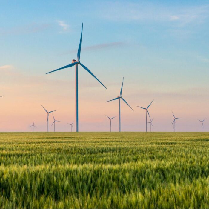 Group of windmills for wind power production in a green field of wheat.