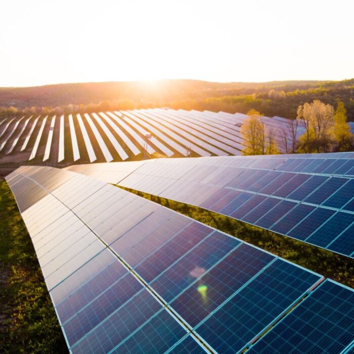 Solar panels collect sunlight on a solar farm and create clean energy.